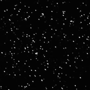 Meet your Posher, Alexander